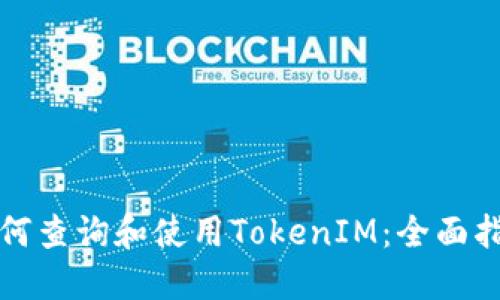 如何查询和使用TokenIM：全面指南