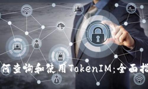 如何查询和使用TokenIM：全面指南