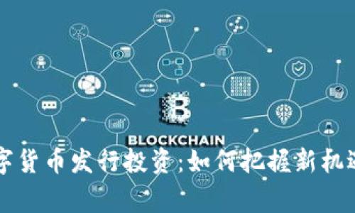 国家数字货币发行投资：如何把握新机遇与挑战