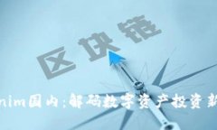 Tokenim国内：解码数字资产