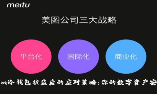 Tokenim冷钱包被盗后的应对策略：你的数字资产安全指南