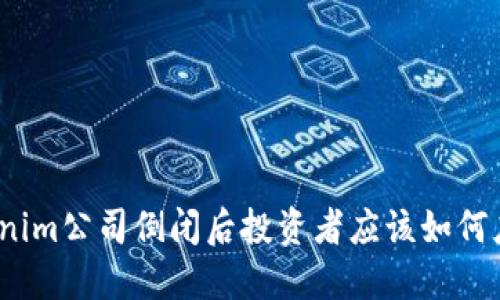 Tokenim公司倒闭后投资者应该如何应对？