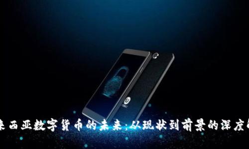 马来西亚数字货币的未来：从现状到前景的深度解析