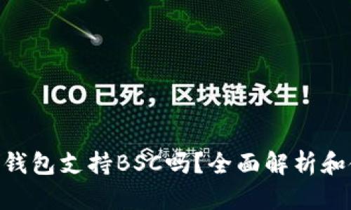 Tokenim钱包支持BSC吗？全面解析和使用指南