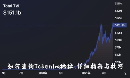 如何查询Tokenim地址：详细指南与技巧