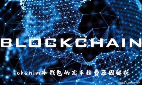 Tokenim冷钱包的高手续费原因解析