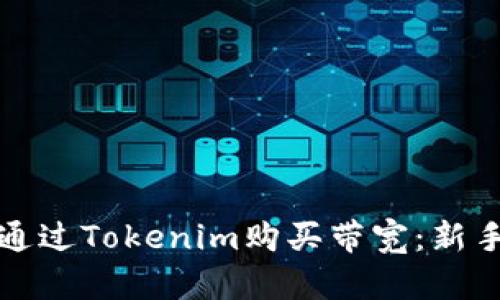 如何通过Tokenim购买带宽：新手指南