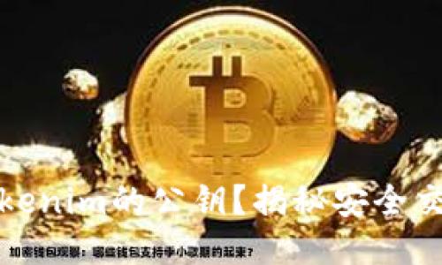 如何查看Tokenim的公钥？揭秘安全交易的第一步