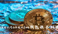 如何解决Tokentokenim钱包收