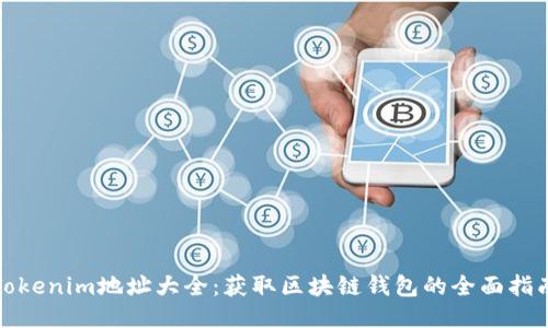 Tokenim地址大全：获取区块链钱包的全面指南
