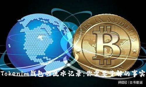 Tokenim钱包的流水记录：你需要了解的事实