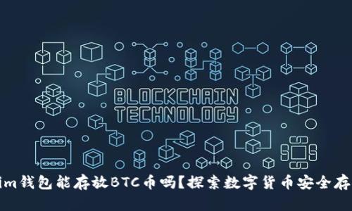 Tokenim钱包能存放BTC币吗？探索数字货币安全存储方案