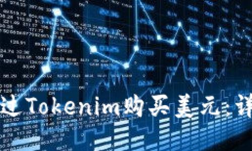 如何通过Tokenim购买美元：详尽指南