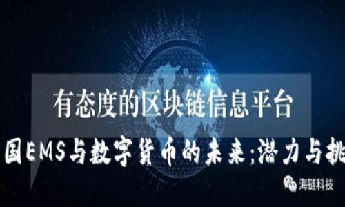 韩国EMS与数字货币的未来：潜力与挑战