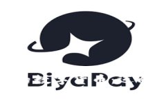 全球范围内各国通用的数