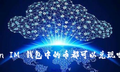 TokenToken IM 钱包中的币都可以兑现吗？深入解析