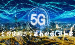 Tokenim钱包支付密码忘了能