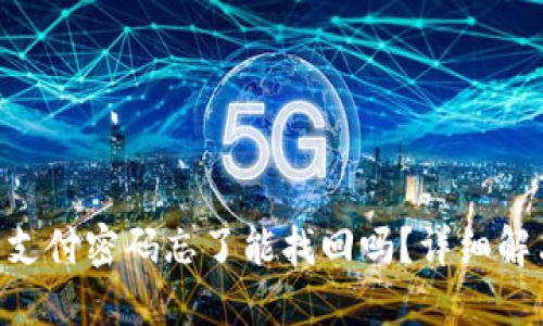 Tokenim钱包支付密码忘了能找回吗？详细解决方案大揭秘