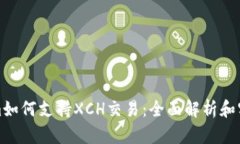 Tokenim如何支持XCH交易：全
