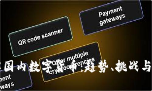 深入了解国内数字货币：趋势、挑战与未来展望
