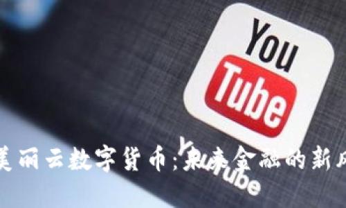 打造美丽云数字货币：未来金融的新风向标