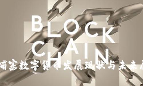 柬埔寨数字货币发展现状与未来展望