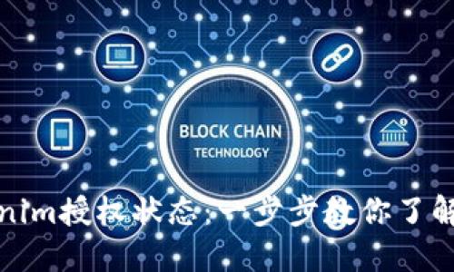 如何查询Tokenim授权状态：一步步教你了解你的授权信息