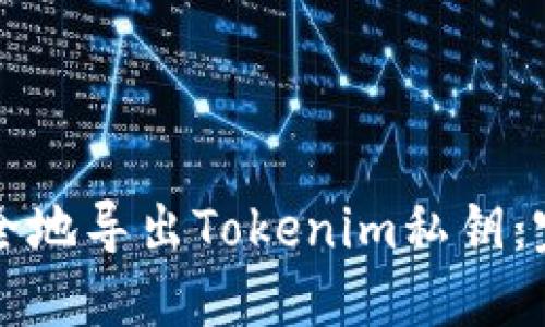 如何安全地导出Tokenim私钥：完整指南