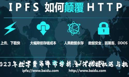 2023年数字货币牛市分析：如何把握机遇与挑战