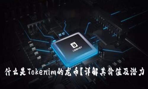 什么是Tokenim的龙币？详解其价值及潜力