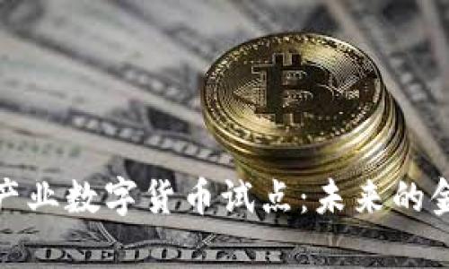 探析中体产业数字货币试点：未来的金融新趋势