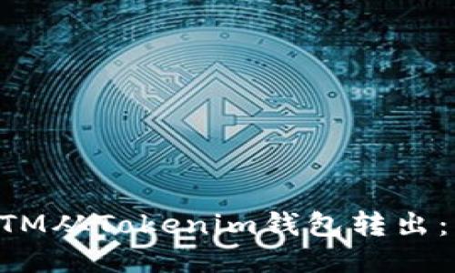 如何将BTM从Tokenim钱包转出：详细指南