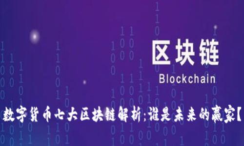 数字货币七大区块链解析：谁是未来的赢家？