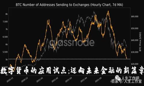 数字货币的应用试点：迈向未来金融的新篇章