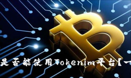 外国人是否能使用Tokenim平台？一探究竟