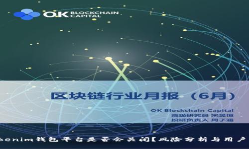 Tokentokenim钱包平台是否会关闭？风险分析与用户应对策略
