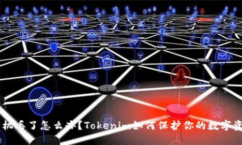 手机丢了怎么办？Tokenim如何保护你的数字资产