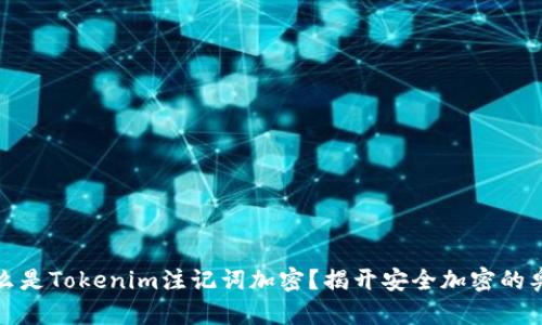 什么是Tokenim注记词加密？揭开安全加密的奥秘