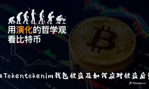 如何防止Tokentokenim钱包被盗及如何应对被盗后资产损失