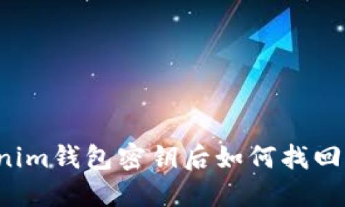 忘记tokenim钱包密钥后如何找回？全面指南