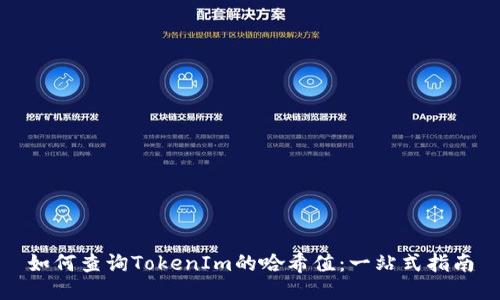 如何查询TokenIm的哈希值：一站式指南