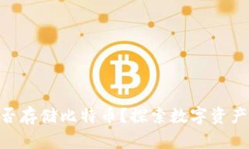 Tokenim能否存储比特币？探索数字资产管理的未来