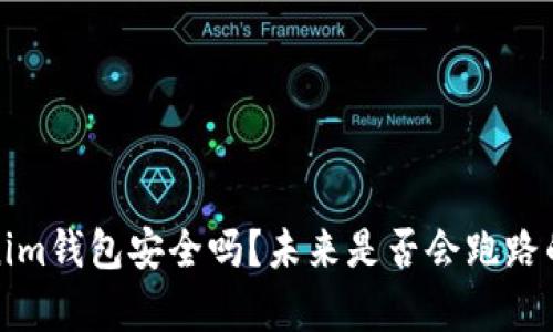 Tokenim钱包安全吗？未来是否会跑路的分析