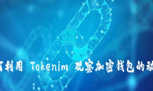 如何利用 Tokenim 观察加密钱包的动态？