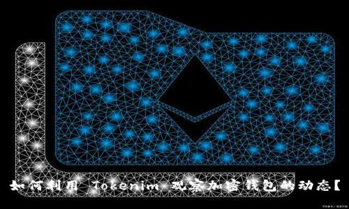 如何利用 Tokenim 观察加密钱包的动态？