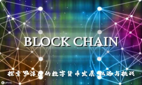 探索罗浮区的数字货币发展：机遇与挑战