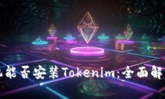 苹果手机能否安装Tokenim：