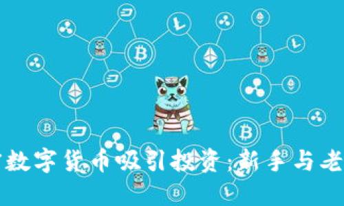 如何通过加密数字货币吸引投资：新手与老手的投资指南
