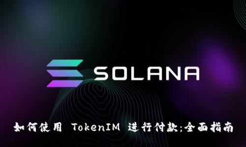 如何使用 TokenIM 进行付款：全面指南