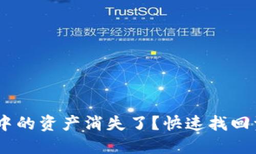 Tokenim 钱包中的资产消失了？快速找回资产的实用指南